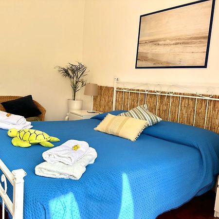 Materdei Apartments Napoli Dış mekan fotoğraf